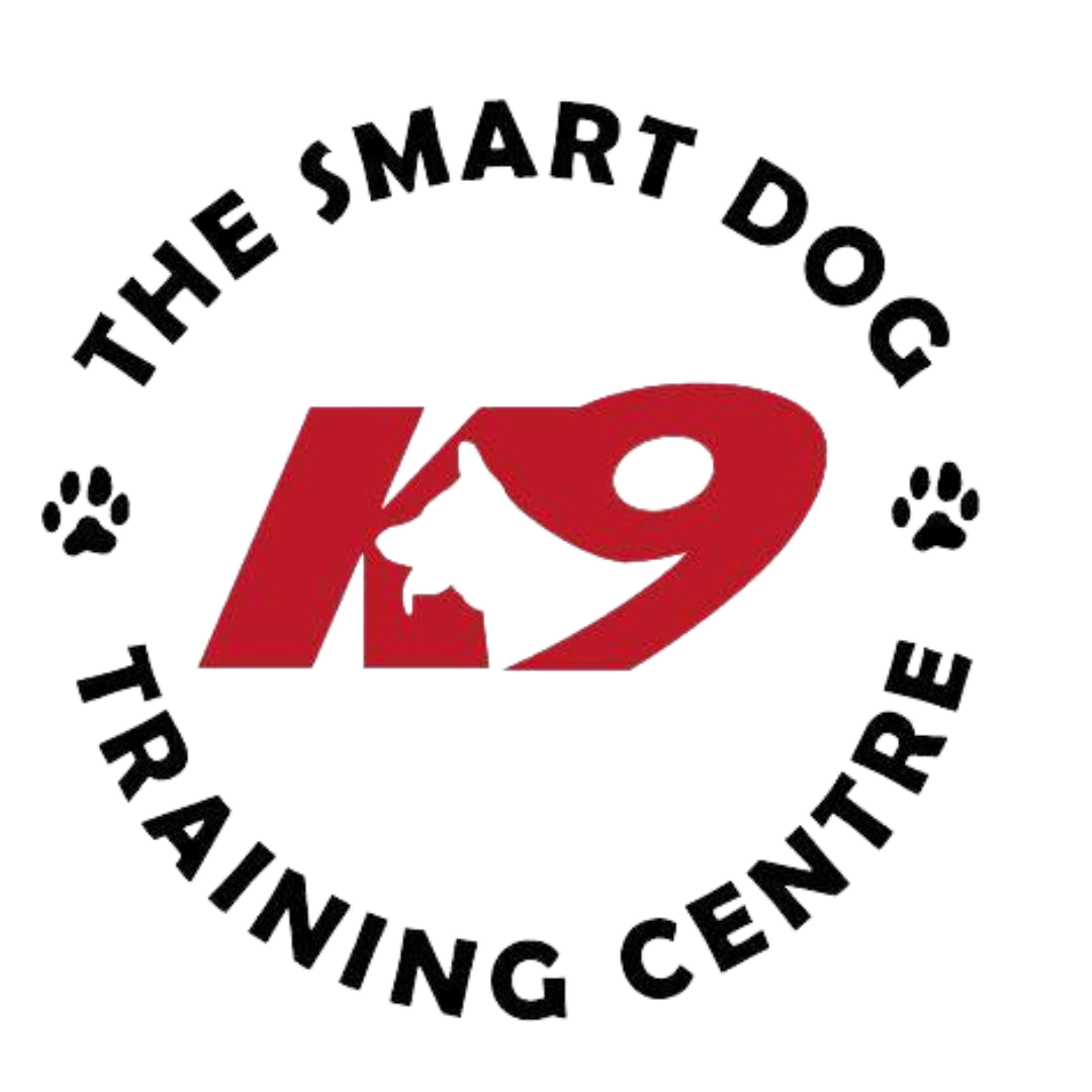 the-smart-dog-training-centre-dog-training-animal-behaviour